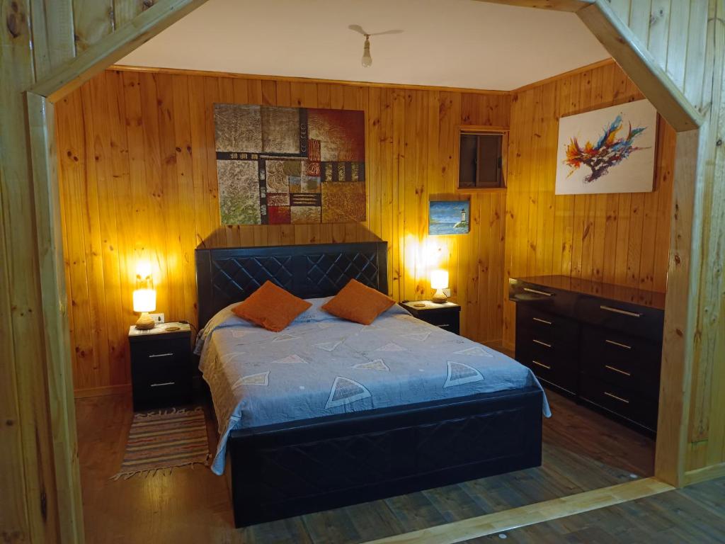 埃尔基斯科"Suite Dreams" Descanso Cerca del Mar的一间卧室配有一张带木墙和木地板的床。