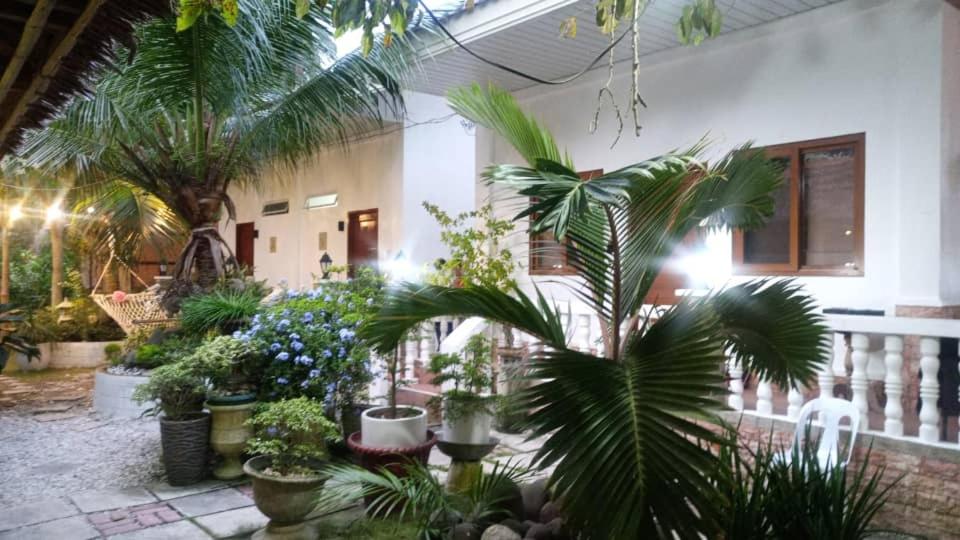 桑坦德Melbas Homestyle Resort & SPA的充满了植物和树木的房间