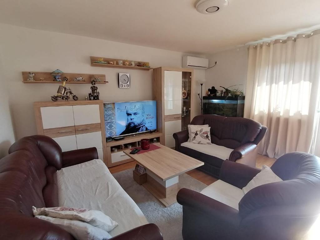 SurčinAirport Apartment的客厅配有2张沙发和1台平面电视