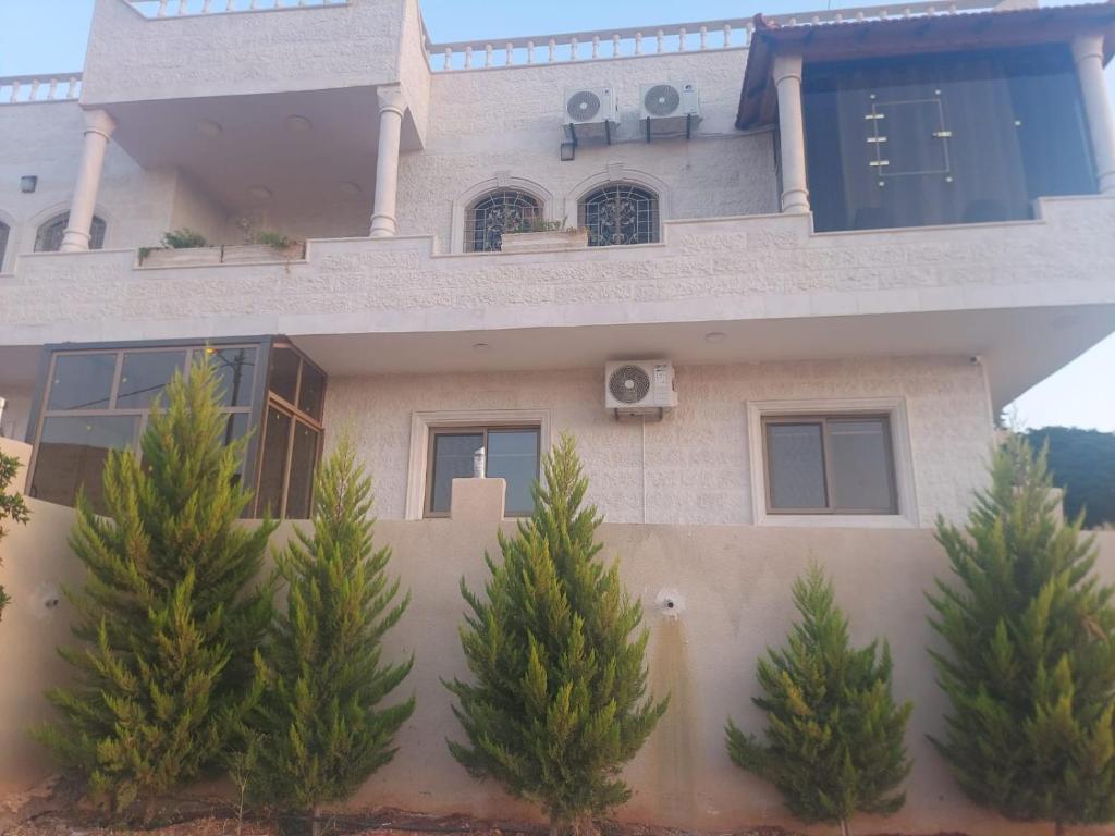 瓦迪穆萨Albasha的前面有树木的房子