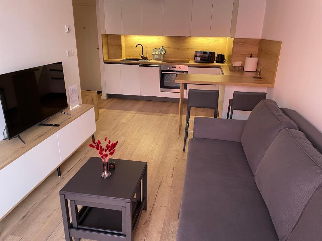 斯维特Apartmán Gréner的带沙发的客厅和厨房