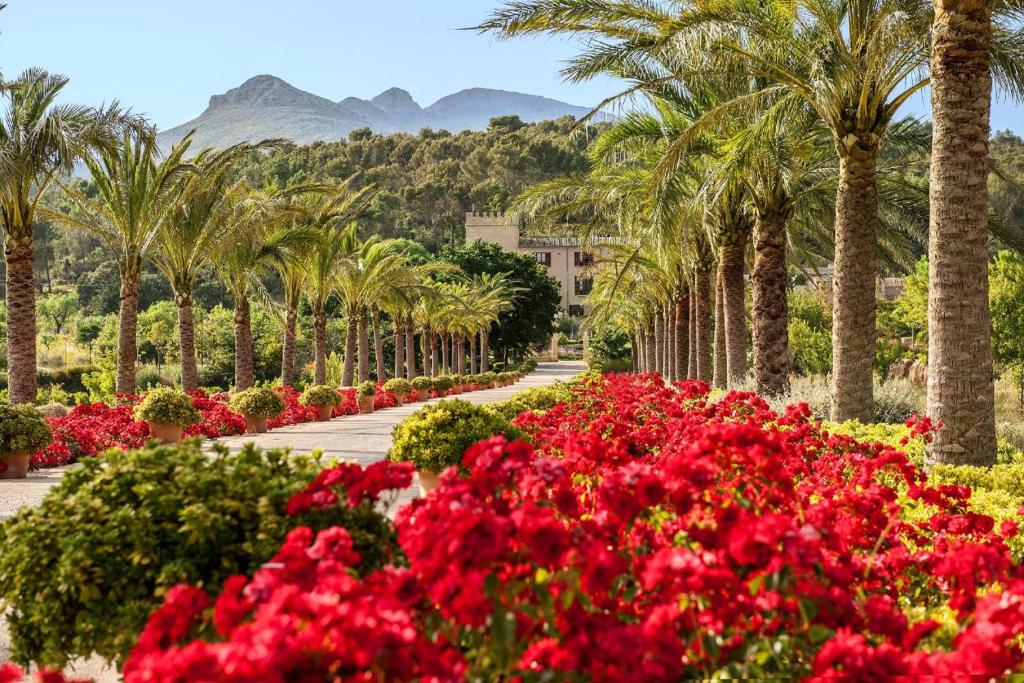 埃斯卡普德拉Castell Son Claret - The Leading Hotels of the World的公园里的一排棕榈树和鲜花
