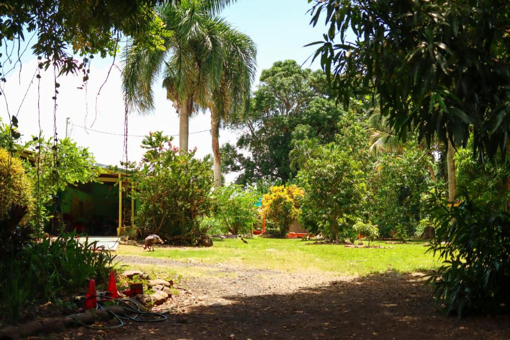 里奥格兰德La Casa de Vida Natural的棕榈树庭院和房屋