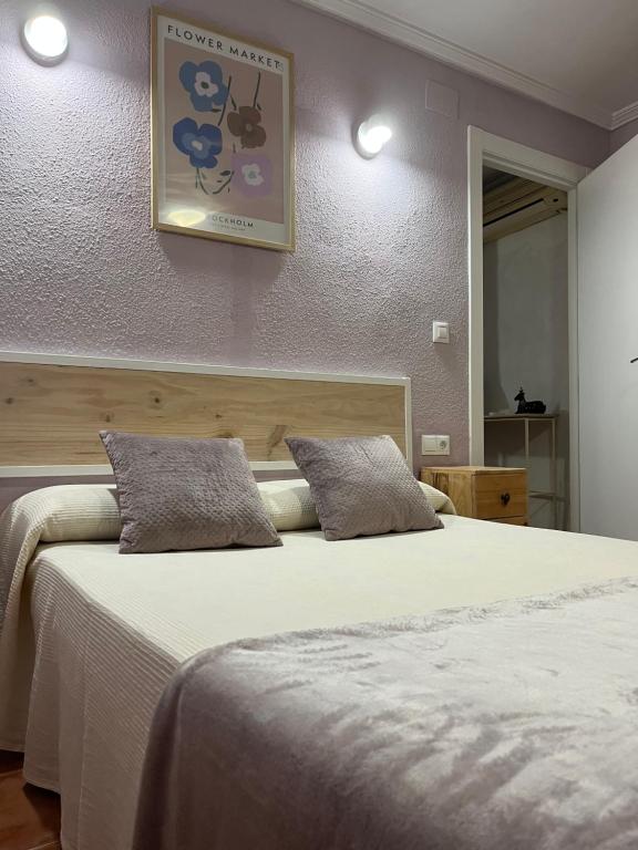 瓦伦西亚Casa Rural CANTONAL的一间卧室配有一张大床和两个枕头