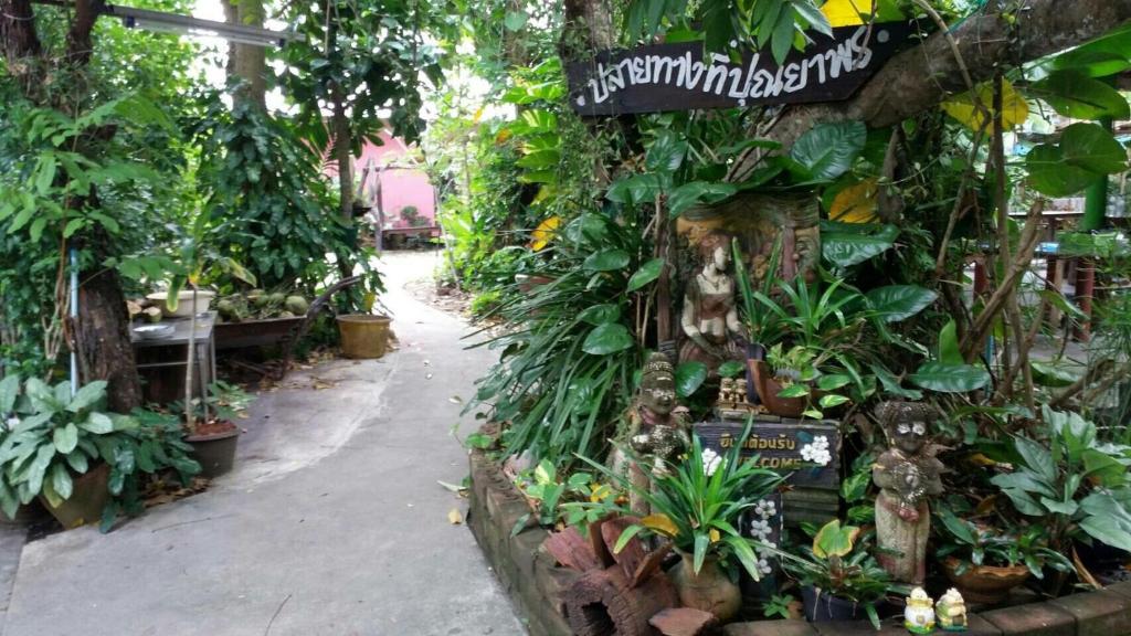 安帕瓦บ้านปุณยาพร โฮมสเตย์的种植了大量植物的花园商店