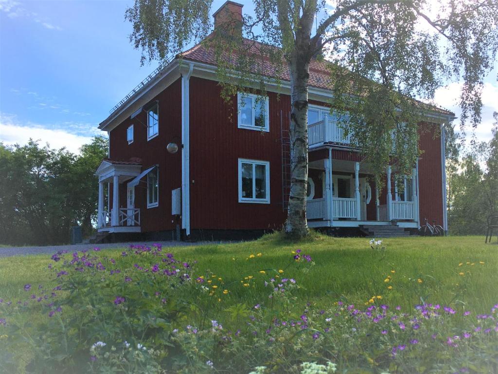约克莫克Jokkmokks Vandrarhem Åsgård的花田里有一棵树的红色房子