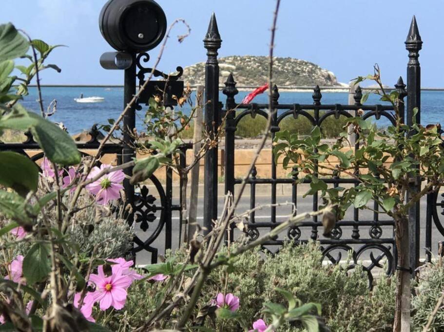 Encounter BayBenny's Beach House的海滩前的黑色围栏,有粉红色的花朵