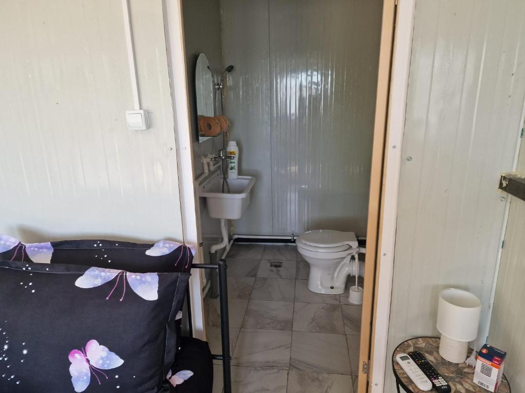布泽乌Big Bear Hunting Lodge的一间带卫生间和水槽的小浴室