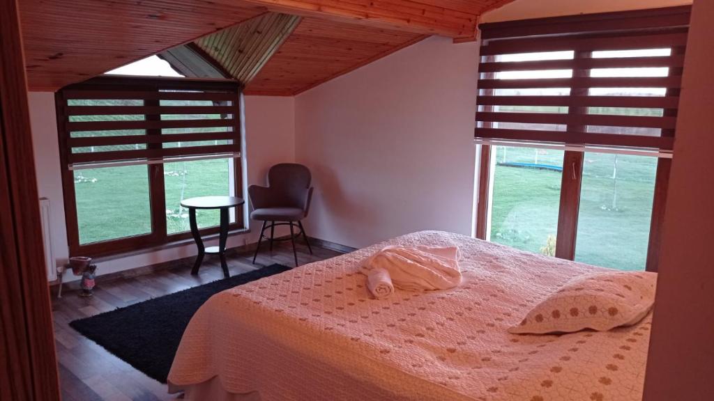 Meriç butik otel的一间卧室设有床、两扇窗户和一把椅子