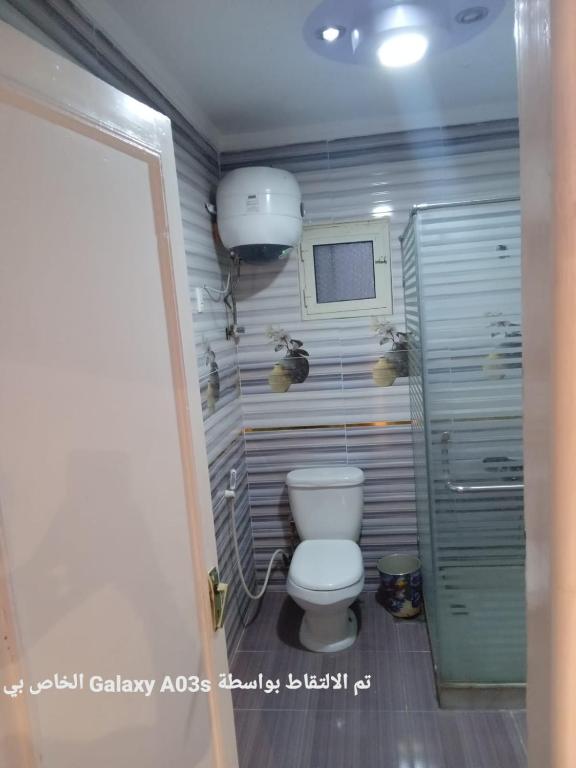 Al Ḩamīdātالاسكندريه的一间带卫生间和淋浴的小浴室