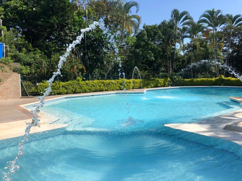 伊瓦格FINCA HOTEL EL ENSUEÑO的一个带喷泉的游泳池
