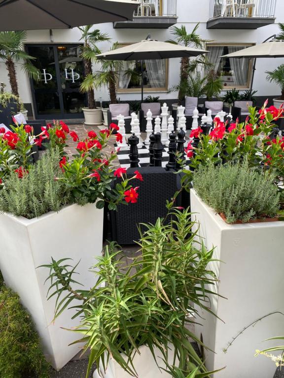 加尔达湖滨拉佩而拉酒店的建筑前白色种植园里的一组花
