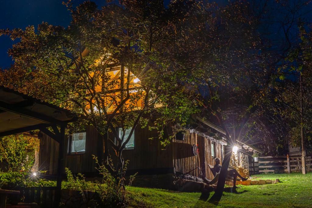科雷尼察Hedgehog's Home的夜晚在院子里放灯的房子