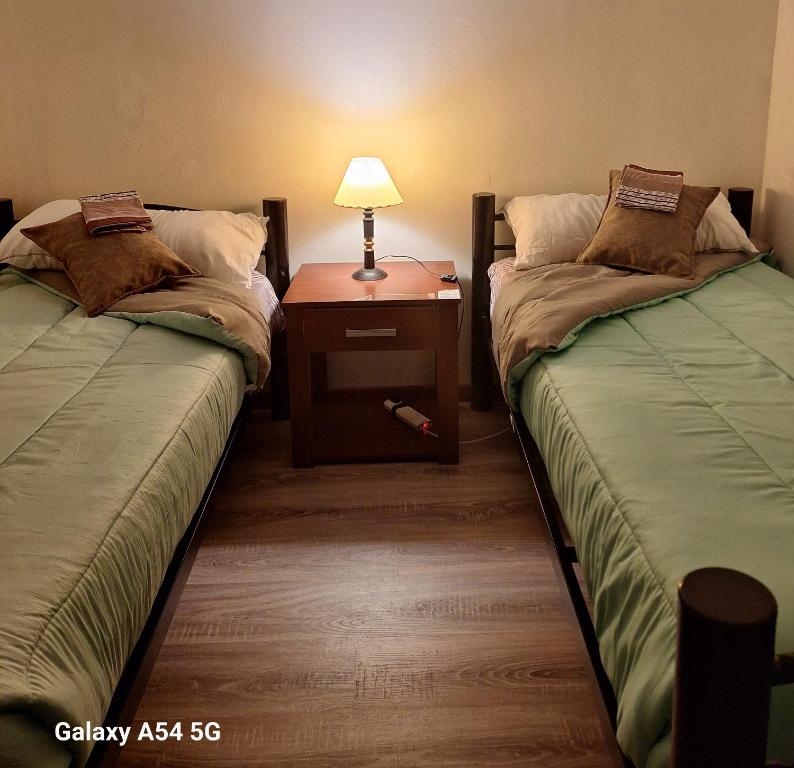 乌斯怀亚cabañas fin del mundo的客房设有两张床和一张带台灯的桌子。