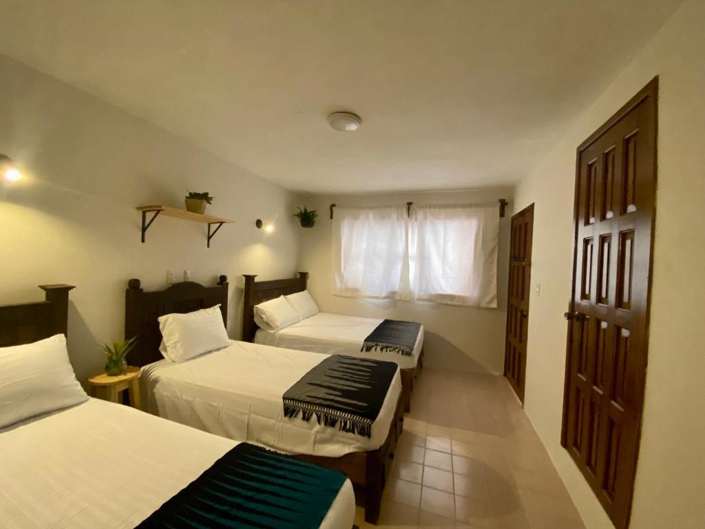 圣克里斯托瓦尔-德拉斯卡萨斯Casa Venus的酒店客房设有两张床和窗户。