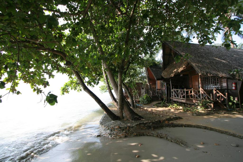 象岛象岛班普度假酒店的房子前面的水中树