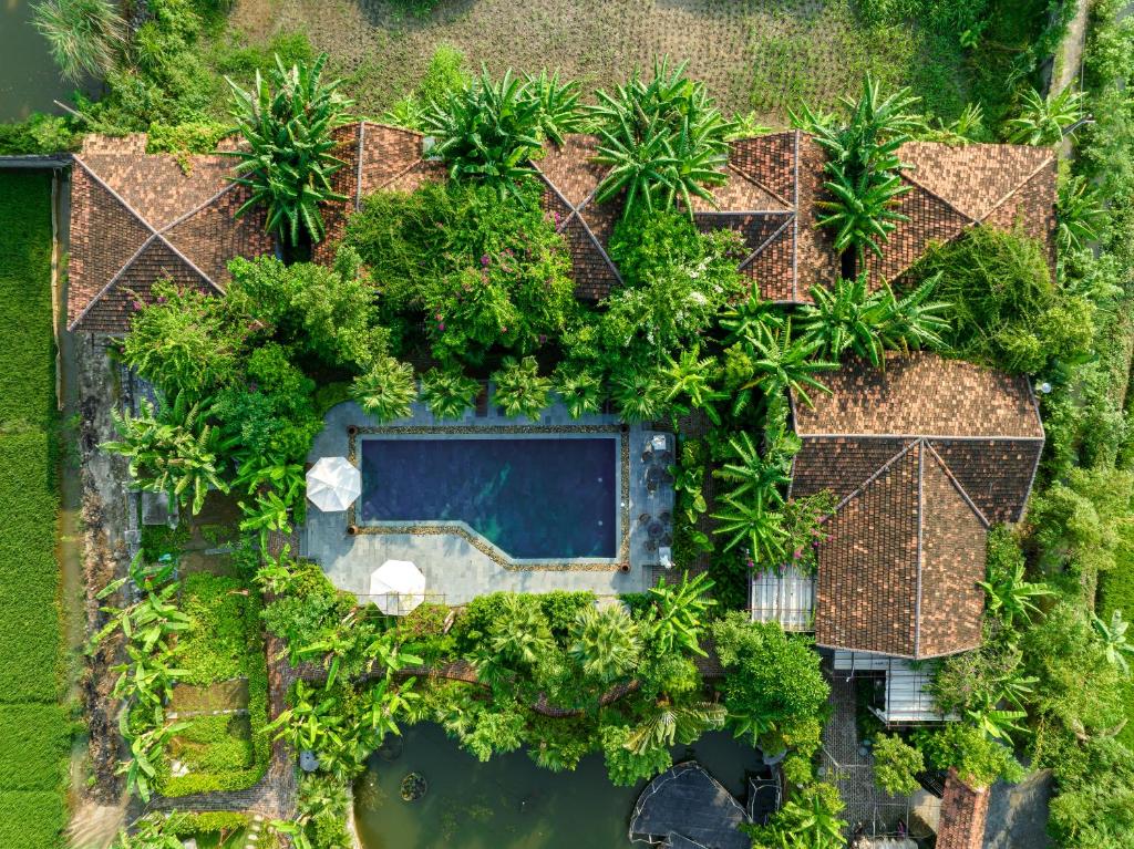 宁平ChezCao Rice Field Ecolodge Ninh Binh的享有种有树木和植物的游泳池的顶部景致