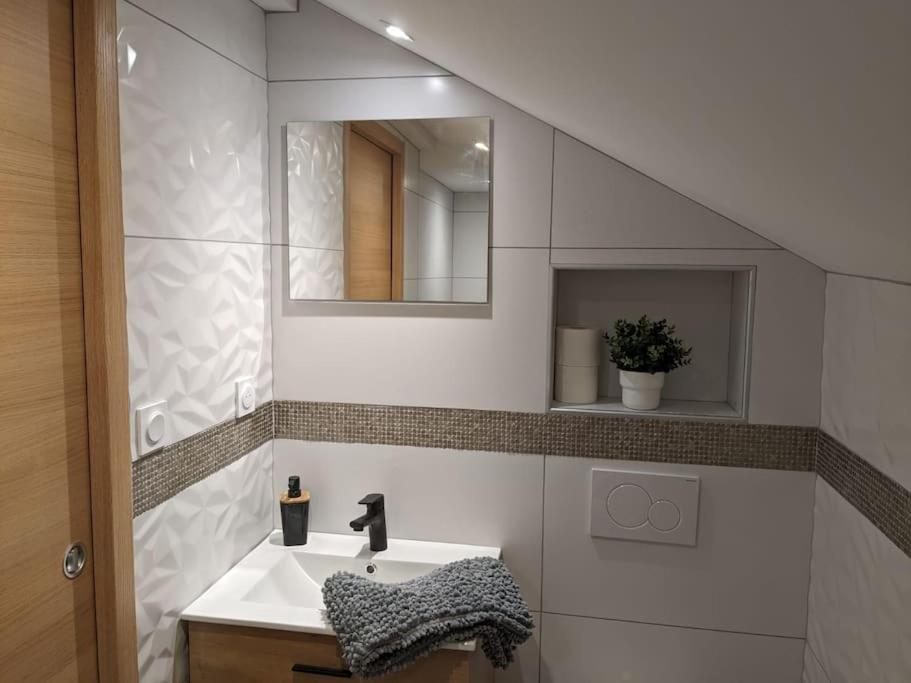 梅塔比耶Magnifique appartement entièrement rénové au pied des pistes的一间带水槽和镜子的浴室