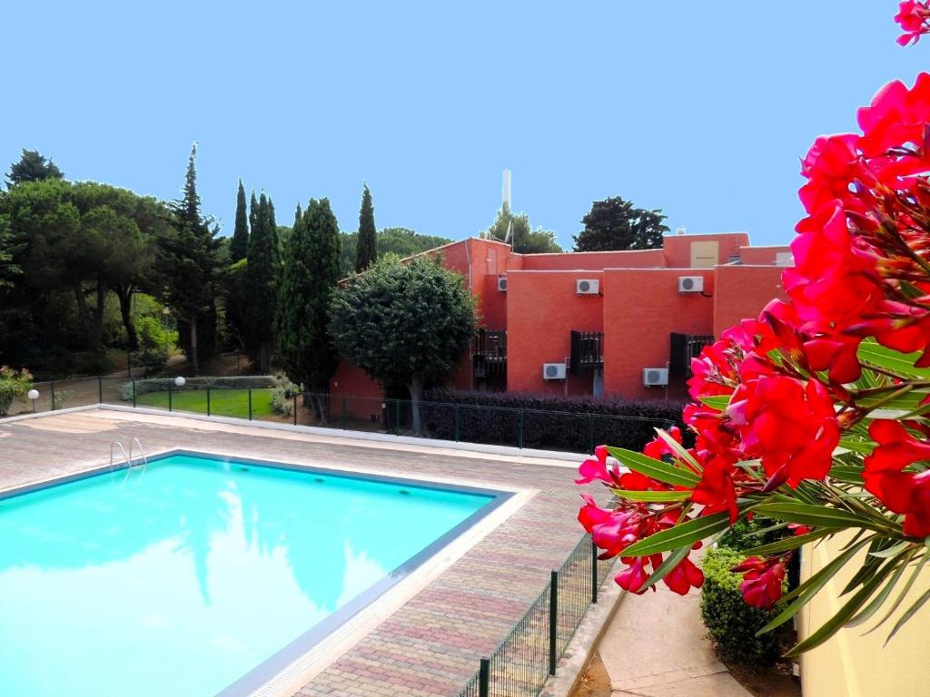 阿格德角网球国际酒店的一座游泳池,旁边是一座红花