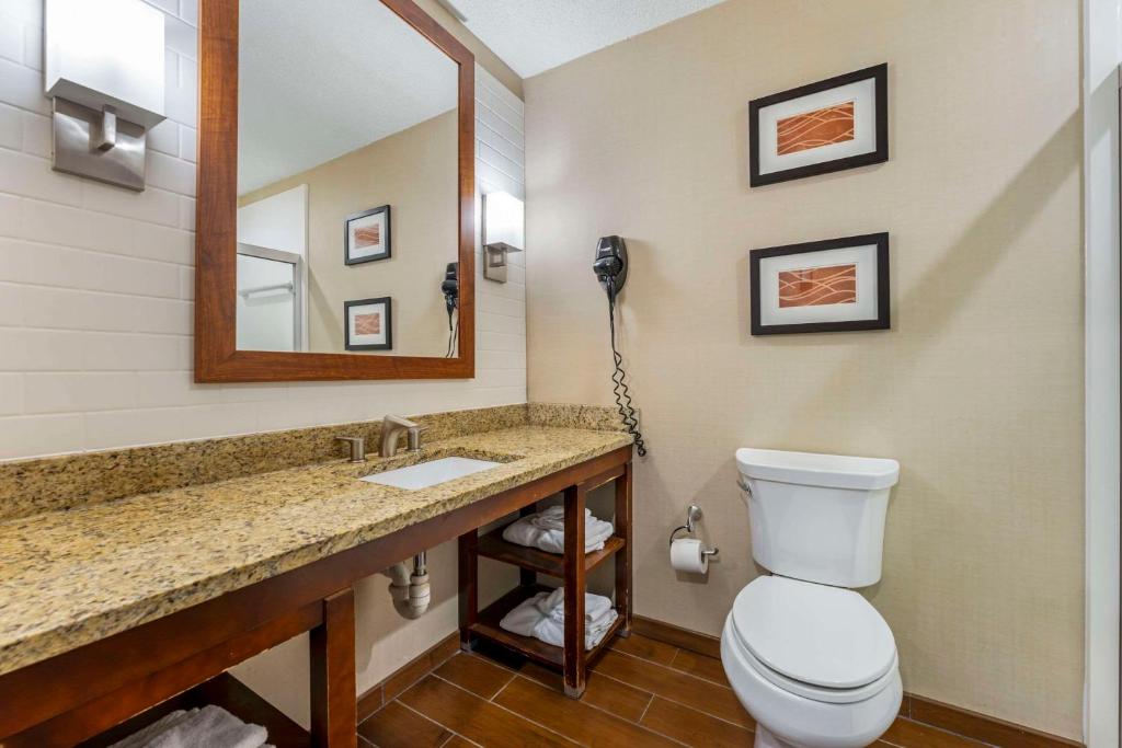 Triadelphia康福特茵套房酒店的一间带卫生间、水槽和镜子的浴室
