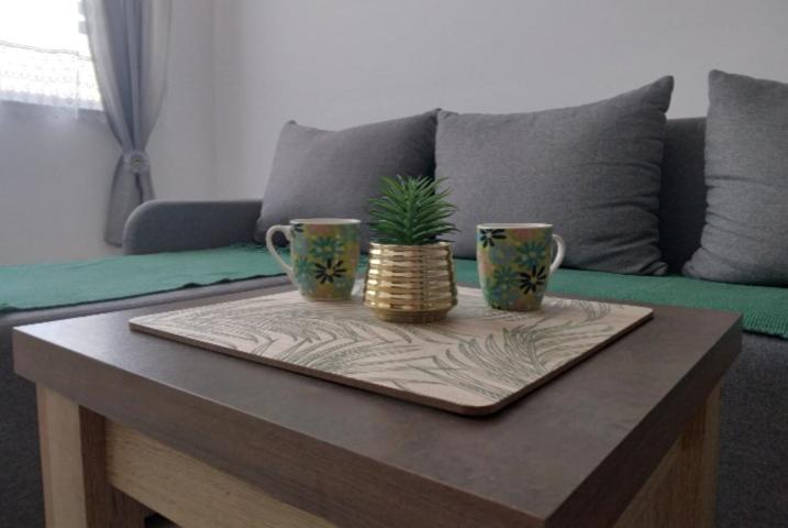 帕拉钦Green Apartman的咖啡桌,上面有两杯咖啡和一株植物