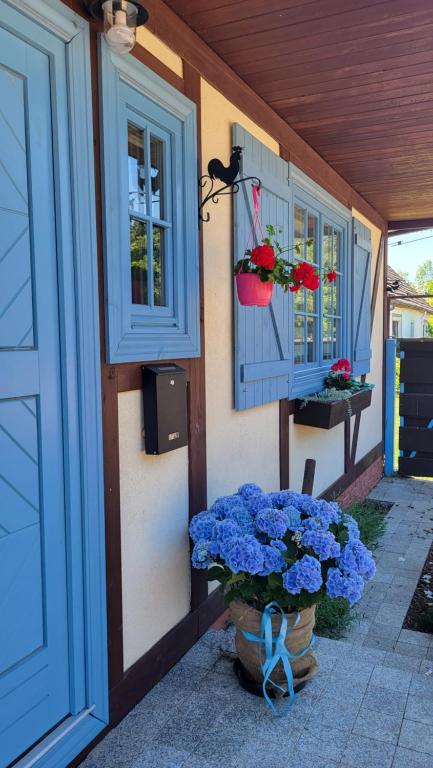 HinterseeHaus Julia的蓝色窗户和蓝色花盆的房子
