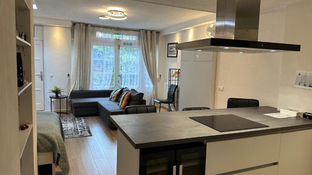 阿姆斯特丹Studio with sauna的厨房以及带沙发和桌子的客厅。