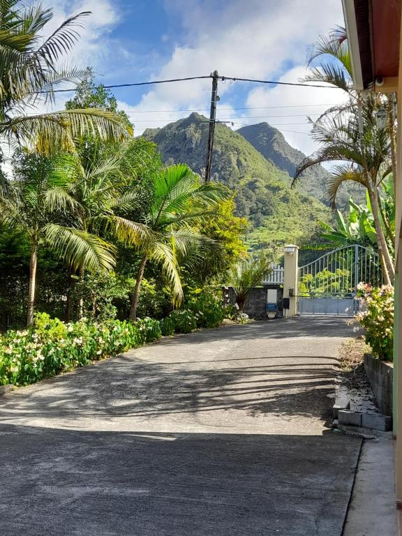 萨拉济L'escale du radier的一条棕榈树和山 ⁇ 环绕的道路