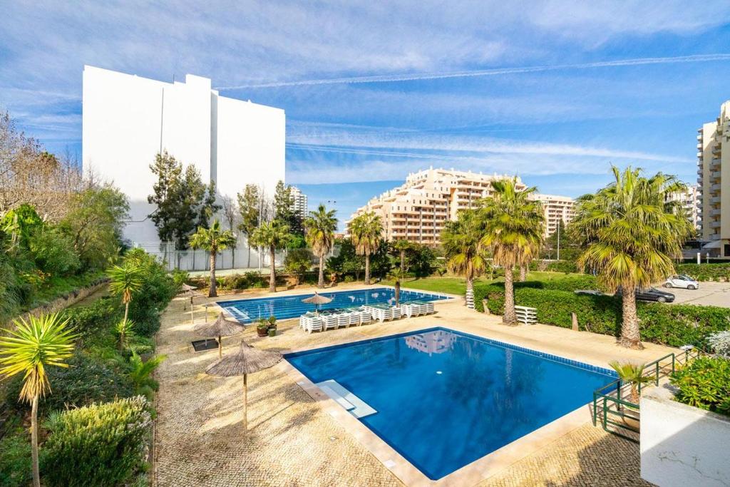 波尔蒂芒Rocha Gardens Apartment的享有棕榈树和建筑的游泳池的顶部景致