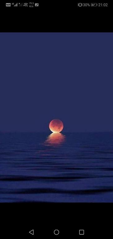 斯科特堡Summer Sands Scottburgh的夜空升起的满月