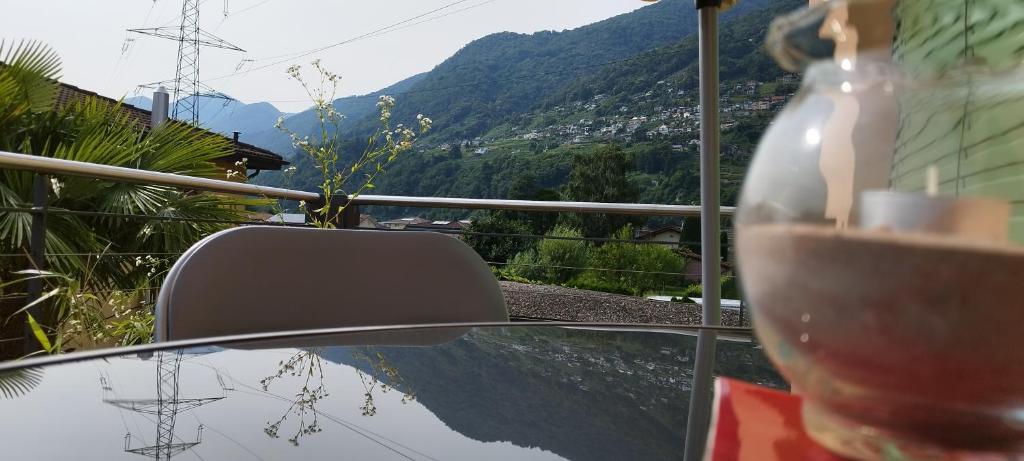 洛迦诺Casa Diana Locarno-Cugnasco的坐在桌子上的花瓶,享有山景