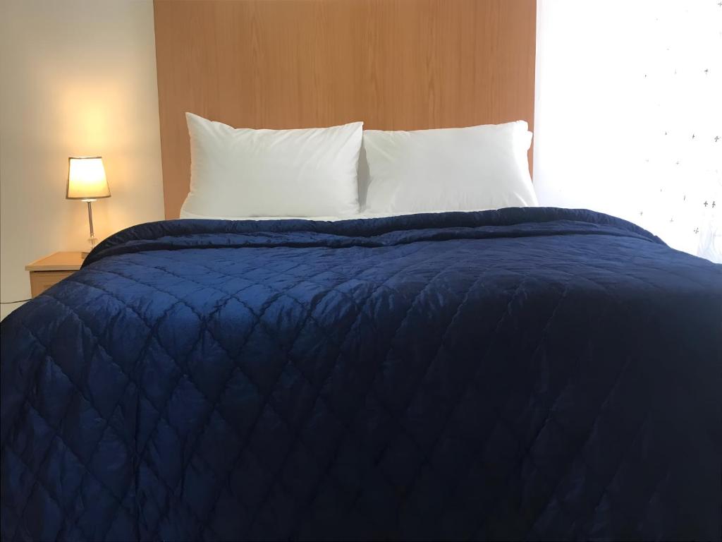 路易特里哈特The Plum的一张带蓝色毯子和白色枕头的床