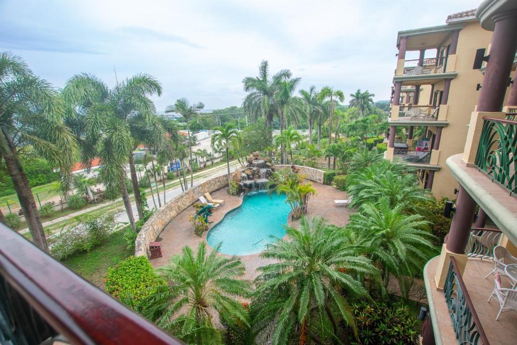 罗阿坦Pineapple Villa 531 condo的享有度假村游泳池的顶部景致