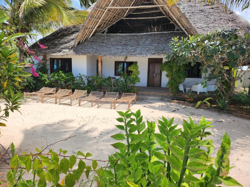 吉汶瓦Villa NOAH BEACH ZANZIBAR的一个带椅子的度假胜地和一个带稻草屋顶的建筑