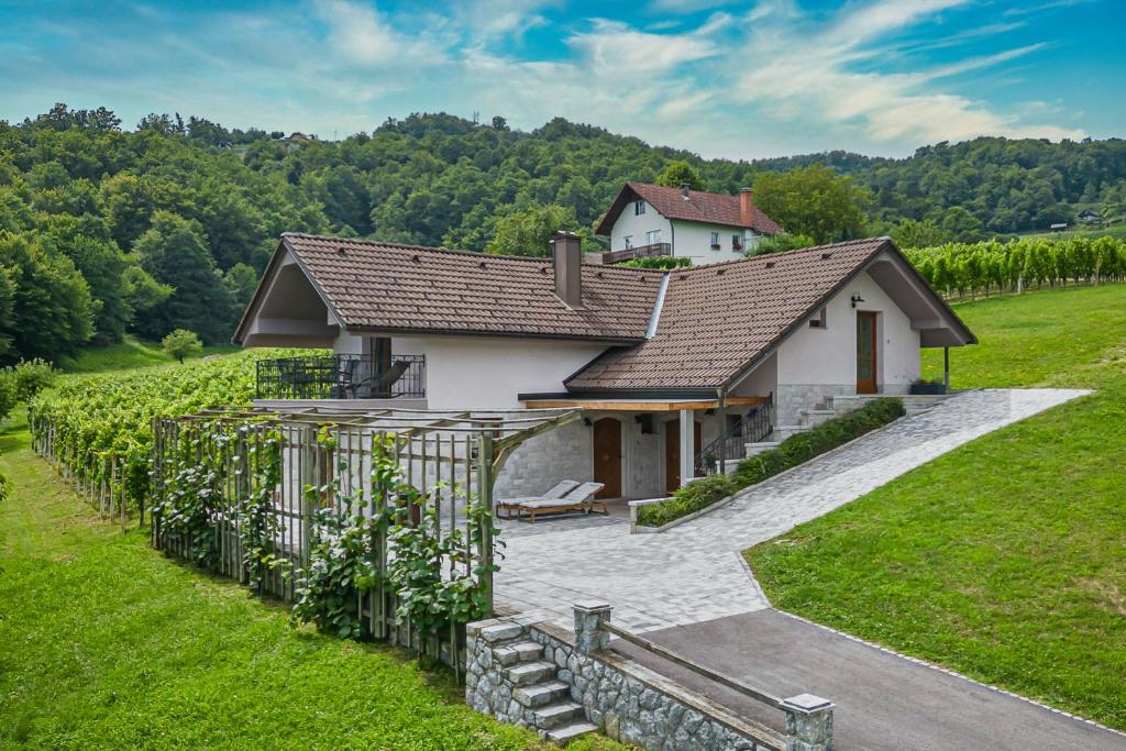 斯玛杰克托莱塞Vineyard Cottage Radovlja With Sauna - Happy Rentals的葡萄园中间的房子