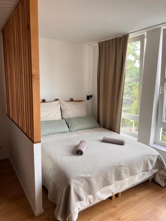 波恩Ruhiges Designer Apartment in Zentrum & Rheinnähe的一间卧室设有一张大床和窗户