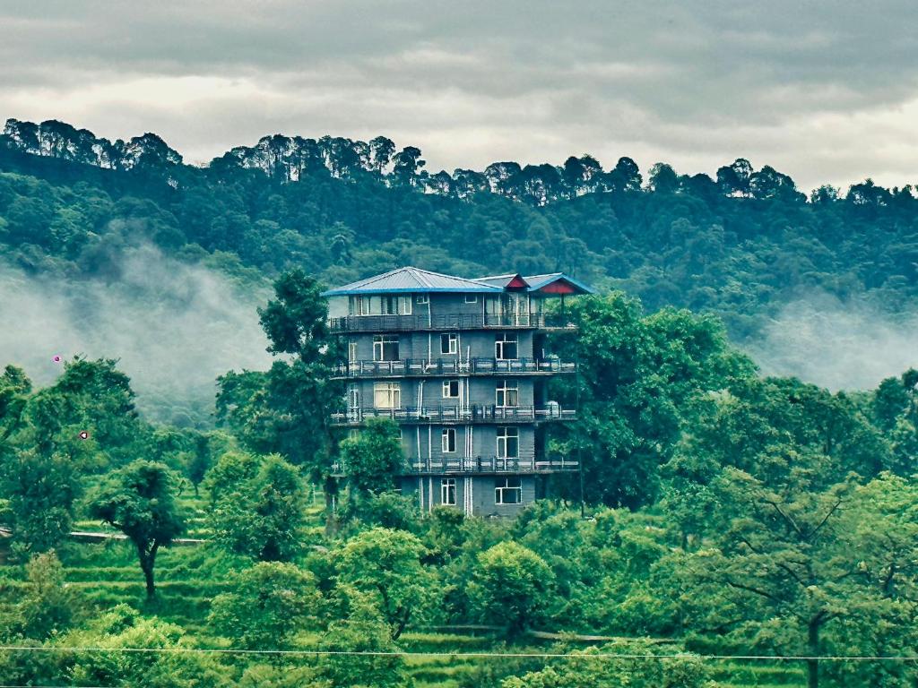 达兰萨拉Dhauladhar Homes的森林中间的大建筑