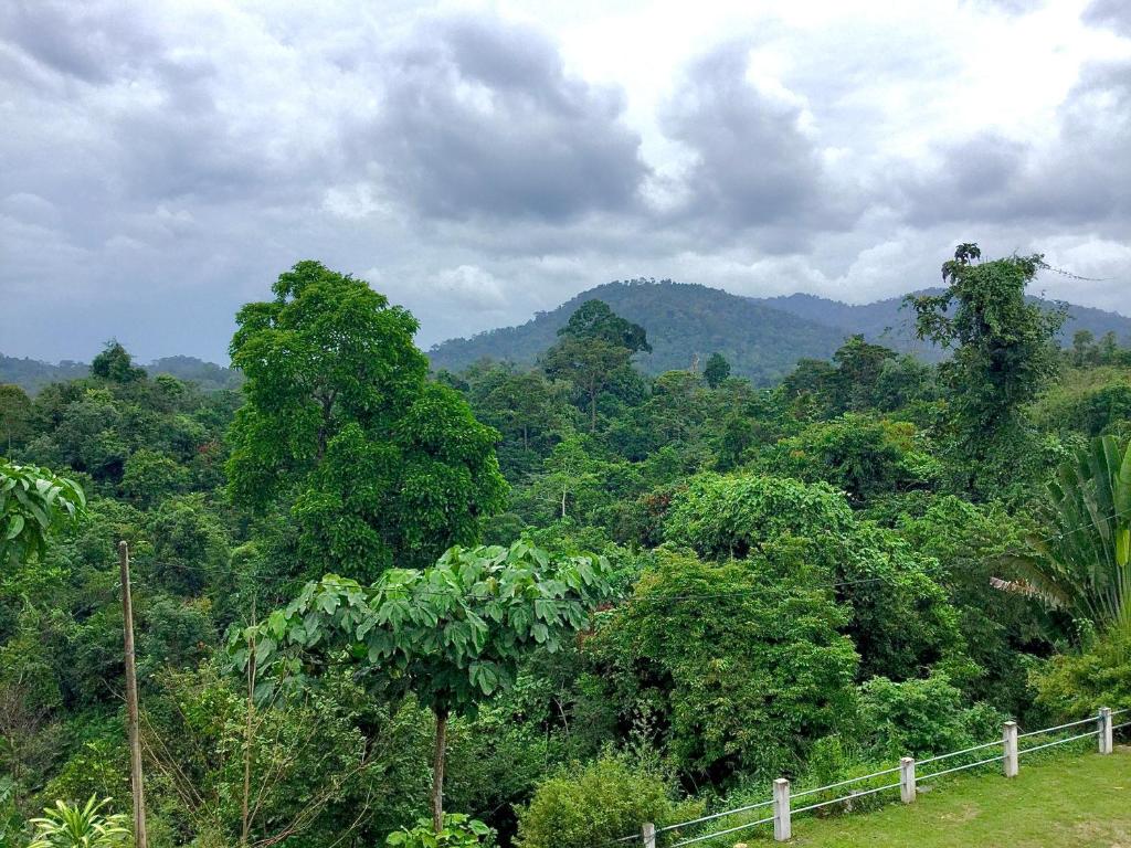 瓜拉大汉D view hill hotel的山林背景