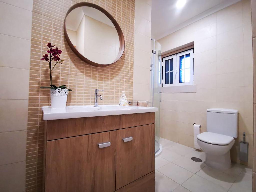 法蒂玛Casa com ALma的一间带水槽、卫生间和镜子的浴室