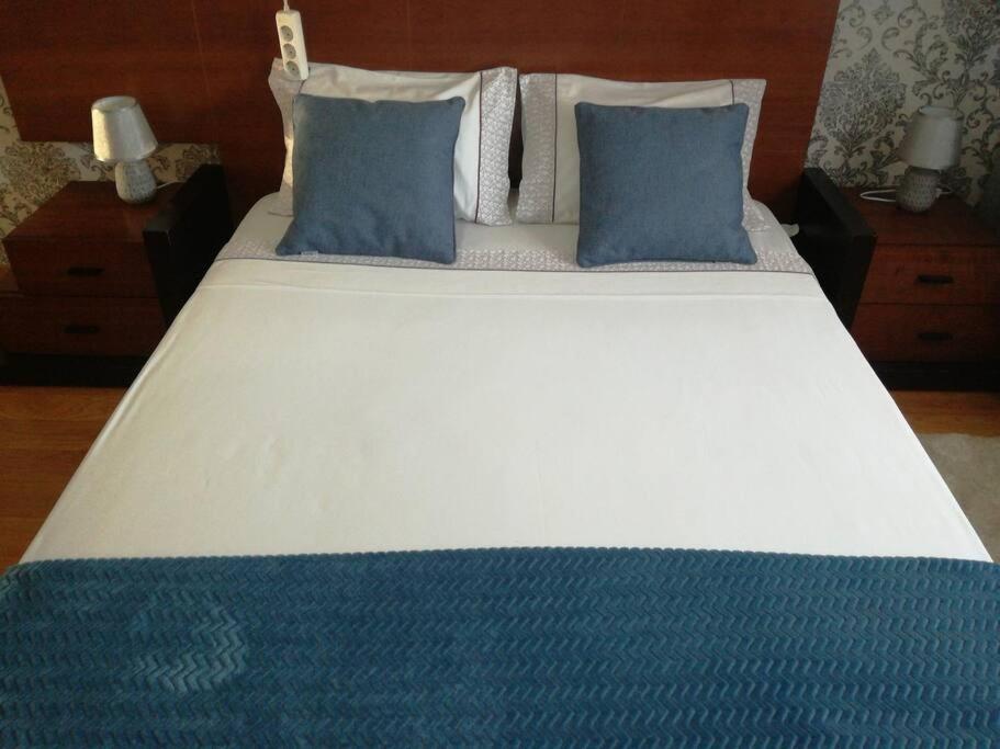蒙蒂茹Apartamento da Aldeia的一张大床,上面有蓝色枕头