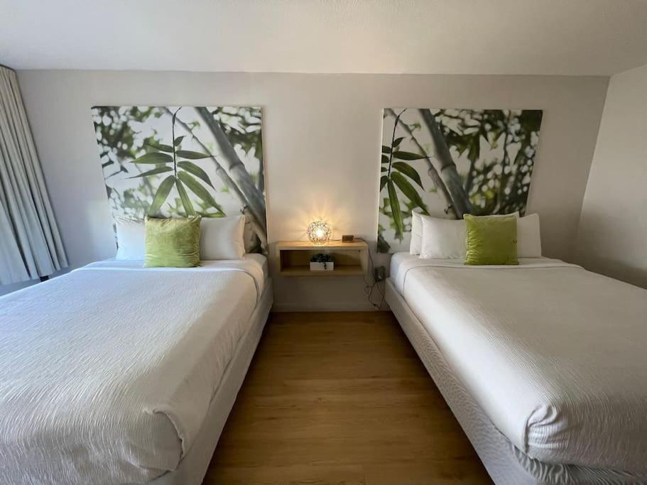 基西米Newly renovated room in cozy hotel near Disney的两张睡床彼此相邻,位于一个房间里
