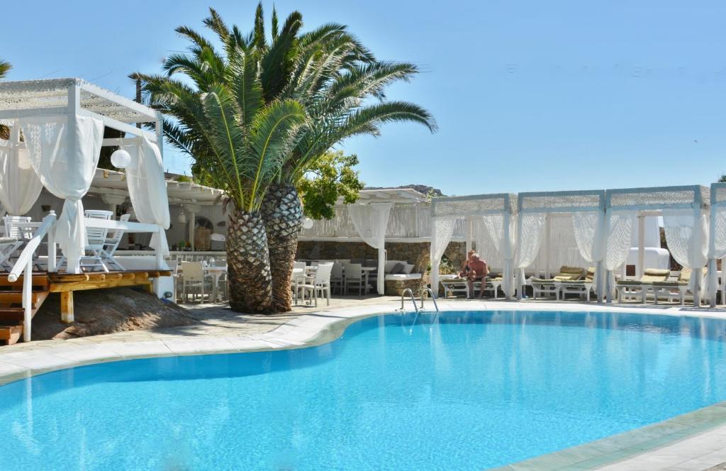 帕瑞加泽菲罗斯酒店的棕榈树和椅子的度假村的游泳池