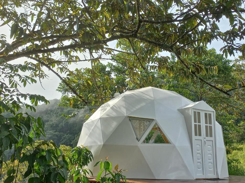 科科尔纳Glamping Rio Melcocho的树下的白色圆顶房子