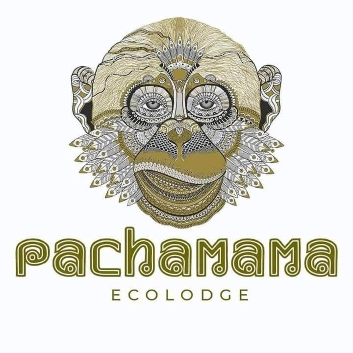 Pachamama Eco Lodge的嘴里戴着球帽的猴子