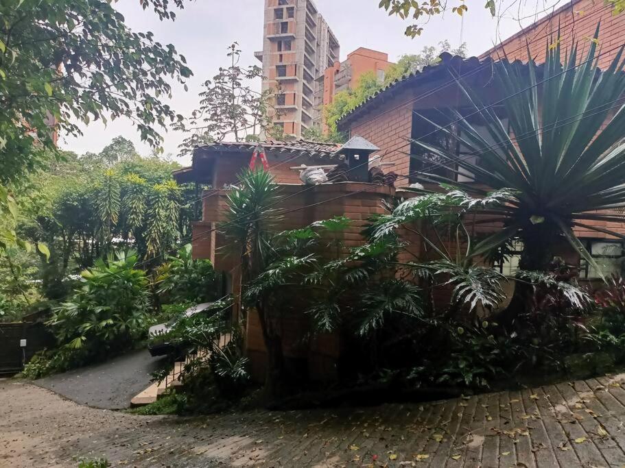 麦德林Casa Campestre Poblado para 8的一座种有棕榈树的花园及一座建筑