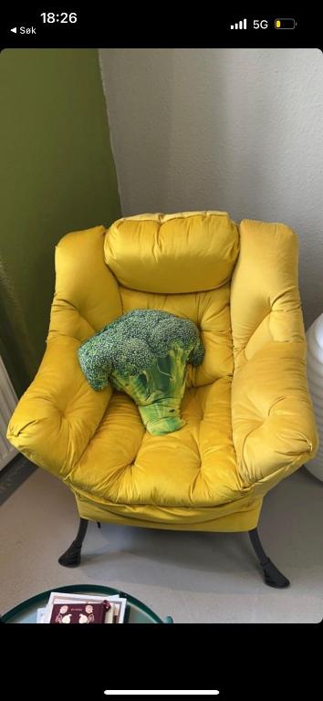 杰西姆Modern 70m2 apartment的坐在黄色沙发上的绿色物体