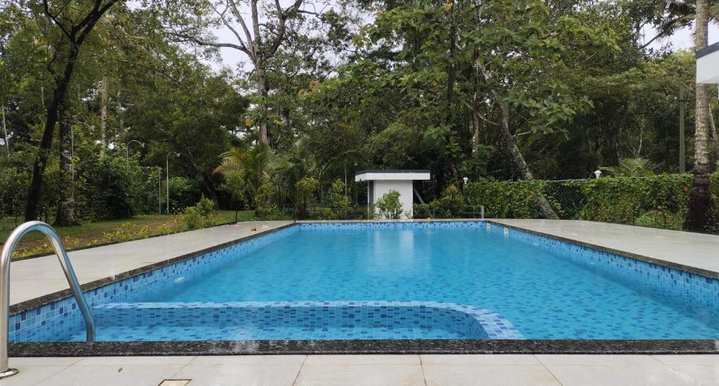 马拉利库兰Marari Beach Palace的庭院里的一个蓝色海水游泳池