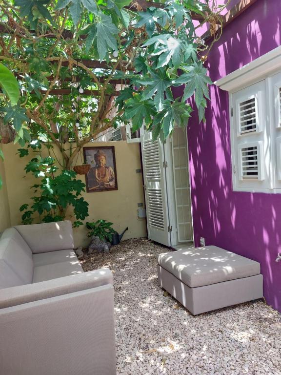 威廉斯塔德Purple house in colorful city centre的紫色的房子,配有沙发和一棵树
