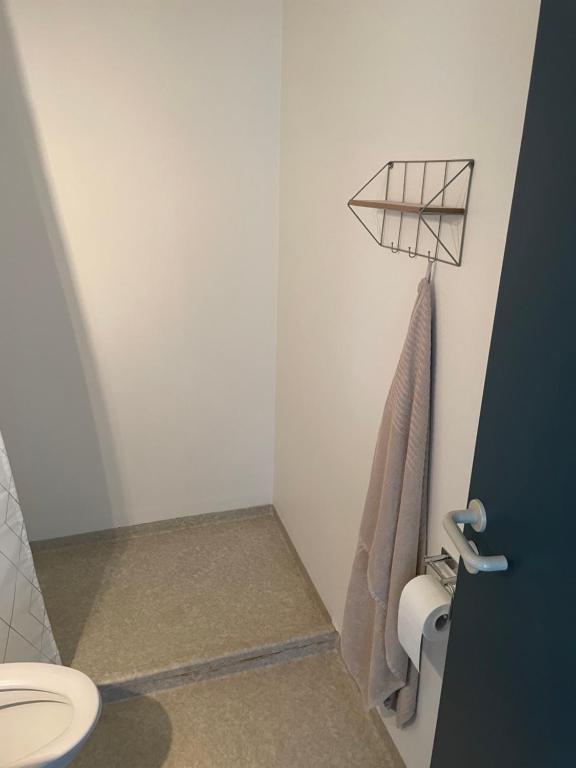 奥本罗Hotel Vin & Gastro的一间带卫生间和毛巾架的浴室