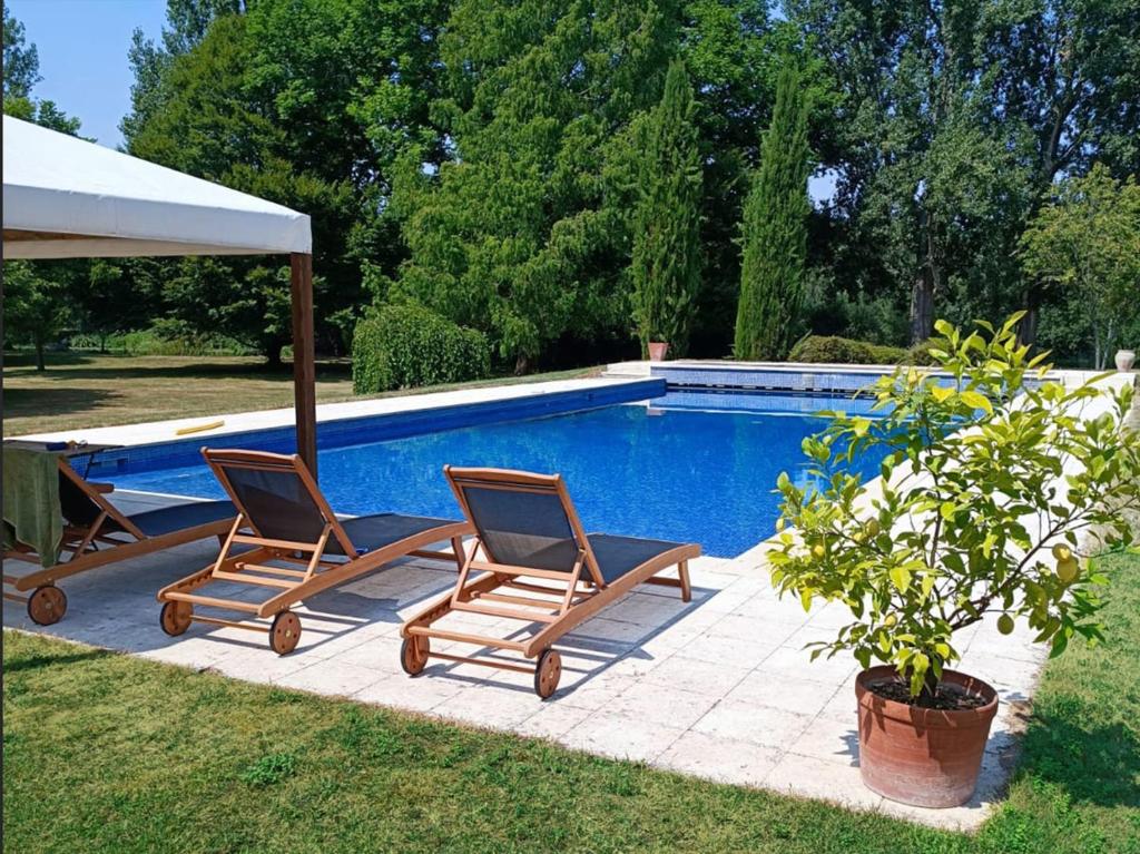 Bourg-CharenteBeautiful riverside boathouse的游泳池旁的两把椅子和一把遮阳伞